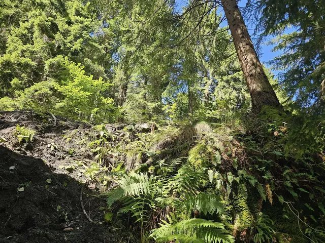 Foto: bergedienst.at