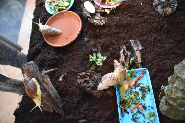 Tag der offenen Tür bei der Wohngruppe in Gumprechtsfelden: Einblicke in die tiergestützte Pädagogik | Foto: Roland Mayr/MeinBezirk Scheibbs