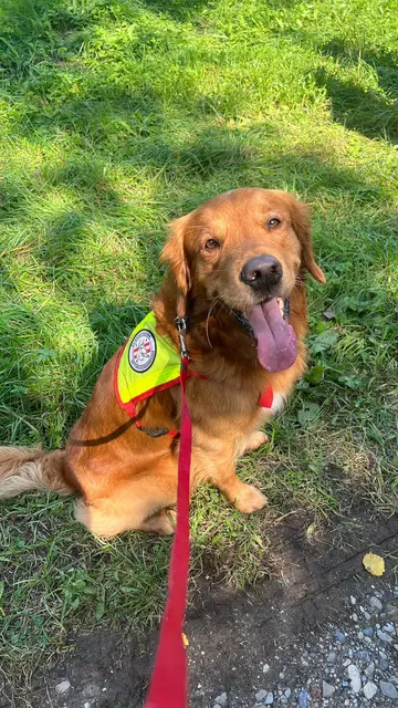 Foto: Österreichische Rettungshundebrigade