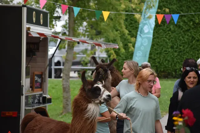 Tag der offenen Tür bei der Wohngruppe in Gumprechtsfelden: Einblicke in die tiergestützte Pädagogik | Foto: Roland Mayr/MeinBezirk Scheibbs