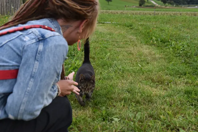 Tag der offenen Tür bei der Wohngruppe in Gumprechtsfelden: Einblicke in die tiergestützte Pädagogik | Foto: Roland Mayr/MeinBezirk Scheibbs