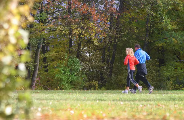 Beim Hernalser Herbstlauf wird in unterschiedlichen Distanzen gesportelt. | Foto: Albrecht E. Arnold  / pixelio.de