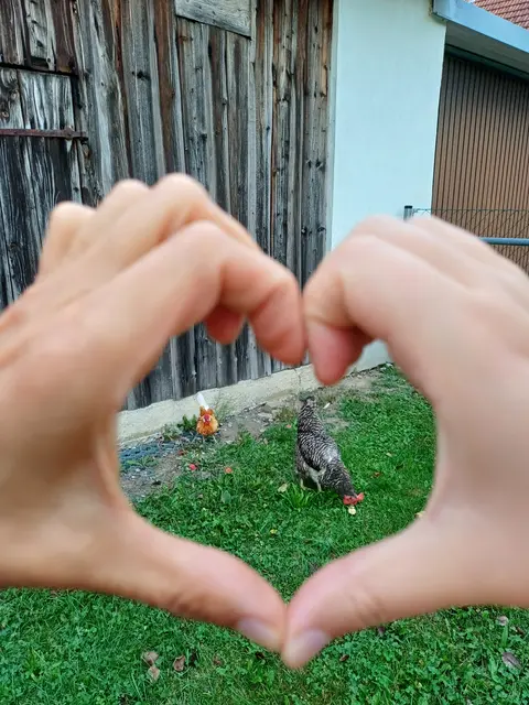 Tag der offenen Tür bei der Wohngruppe in Gumprechtsfelden: Einblicke in die tiergestützte Pädagogik | Foto: Judith Achleitner/Sozialpädagogisches Betreuungszentrum Schauboden