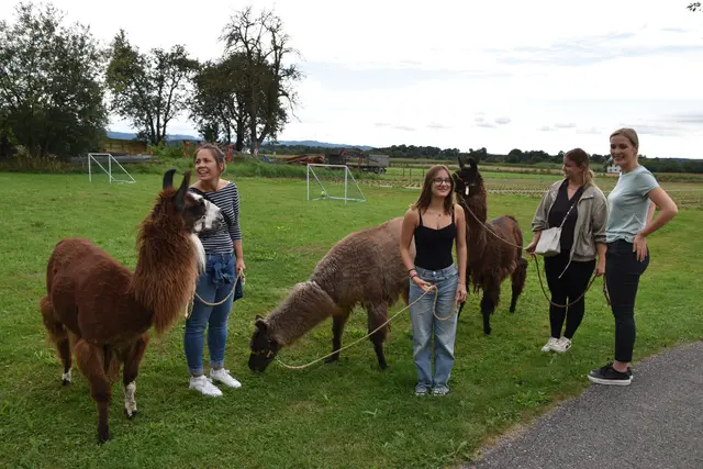 Tag der offenen Tür bei der Wohngruppe in Gumprechtsfelden: Einblicke in die tiergestützte Pädagogik | Foto: Roland Mayr/MeinBezirk Scheibbs