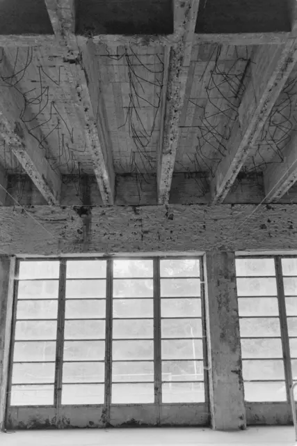 Die riesigen Fenster im Badbereich und Teile der Decke. | Foto: T. Santrucek