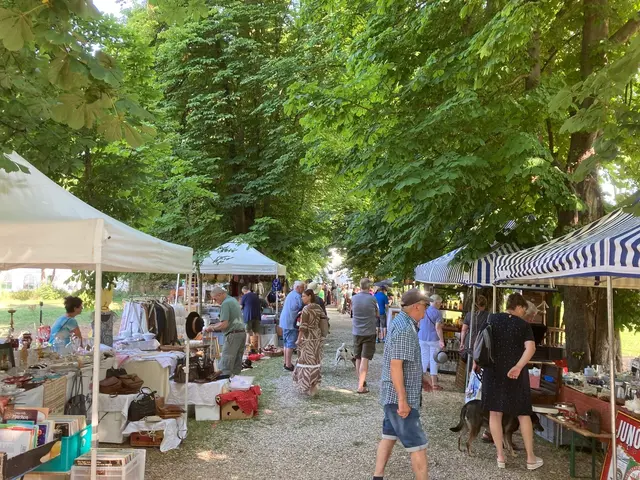 Der Antik- und Edeltrödelmarkt am Schlossareal ist ein Paradies für Sammler und Liebhaber alter Schätze. | Foto: Schloss Katzenberg