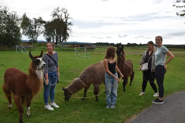 Tag der offenen Tür bei der Wohngruppe in Gumprechtsfelden: Einblicke in die tiergestützte Pädagogik | Foto: Roland Mayr/MeinBezirk Scheibbs