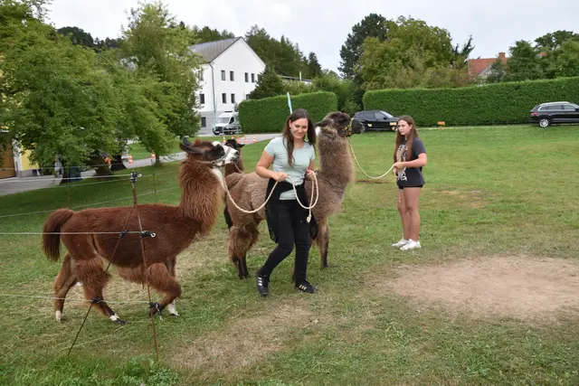 Tag der offenen Tür bei der Wohngruppe in Gumprechtsfelden: Einblicke in die tiergestützte Pädagogik | Foto: Roland Mayr/MeinBezirk Scheibbs