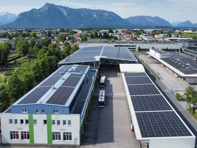 Das neue Flugdach mit Solaranlage bei Albus Salzburg  | Foto: Albus Salzburg