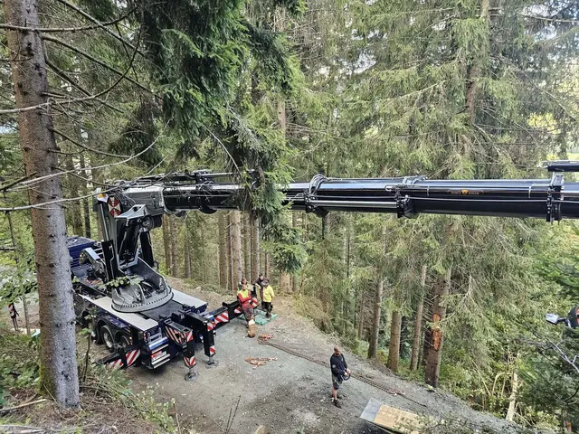 Ein Bergedienst war zur Stelle und leistete professionelle Arbeit. | Foto: bergedienst.at