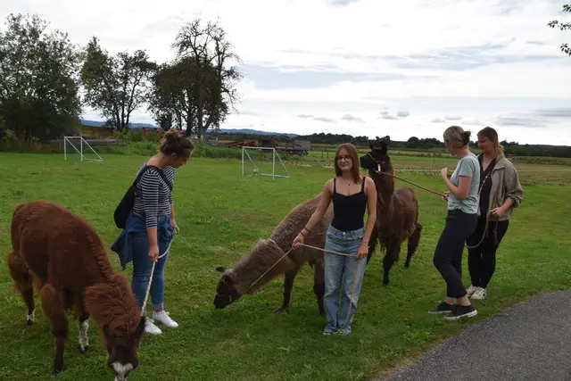 Tag der offenen Tür bei der Wohngruppe in Gumprechtsfelden: Einblicke in die tiergestützte Pädagogik | Foto: Roland Mayr/MeinBezirk Scheibbs