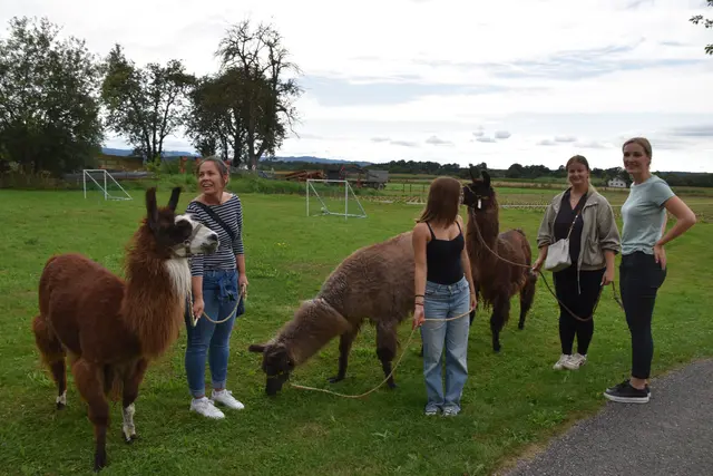 Tag der offenen Tür bei der Wohngruppe in Gumprechtsfelden: Einblicke in die tiergestützte Pädagogik | Foto: Roland Mayr/MeinBezirk Scheibbs