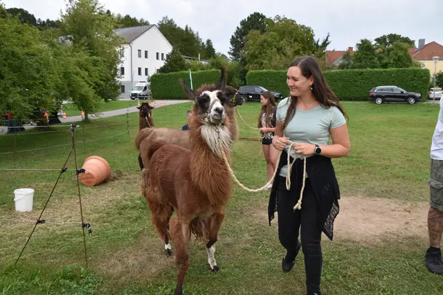 Tag der offenen Tür bei der Wohngruppe in Gumprechtsfelden: Einblicke in die tiergestützte Pädagogik | Foto: Roland Mayr/MeinBezirk Scheibbs