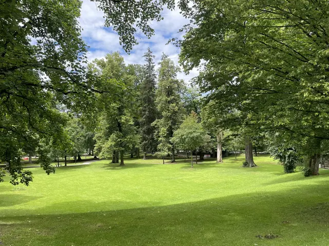 Der Minnesheimpark / Gnigler Park wird gerne als Naherholungsgebiet genutzt | Foto: Lisa Gold