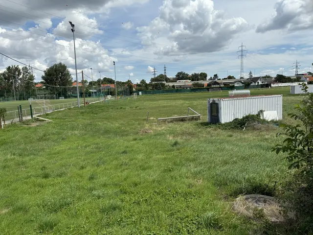 Rostige Baucontainer, verwachsene Grünflächen und das Gerippe eines Fußballtors dominieren das Bild am Kaiserebersdorfer Sportplatz.  | Foto: Luca Arztmann/MeinBezirk