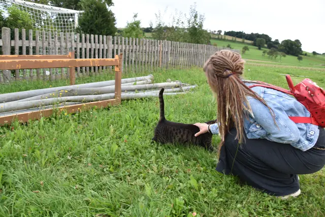 Tag der offenen Tür bei der Wohngruppe in Gumprechtsfelden: Einblicke in die tiergestützte Pädagogik | Foto: Roland Mayr/MeinBezirk Scheibbs