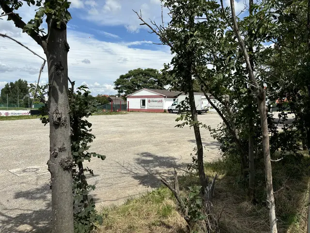 Foto: Luca Arztmann/MeinBezirk