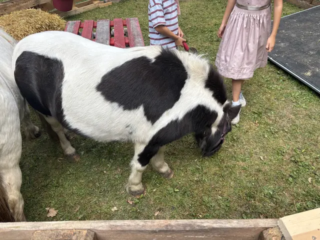 Foto: MeinBezirk/ Evelyn Wanz