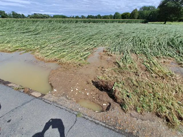 Unwetterereignisse, wie hier das Hochwasser 2023, bergen Risiken für Landwirtinnen und Landwirte. | Foto: Landwirtschaftskammer