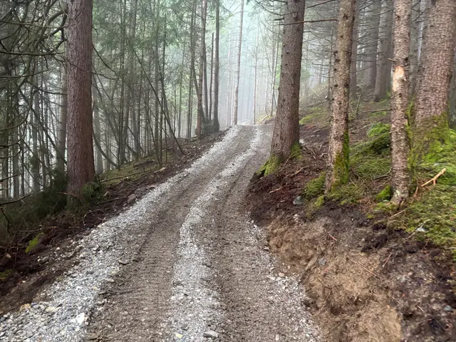 Der "kinderwagentaugliche" Ausbau vieler Stubaier Wege gefällt nicht allen. "Lasst unsere Wege wild – für Kinder, Natur und Heimat!", fordern nun einige Mütter. Sie haben eine Online-Petition zum Erhalt des Schanzlinsteigs gestartet. | Foto: Kainz