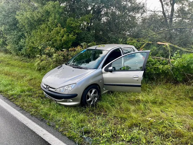 Die Insassen blieben unverletzt. | Foto: FF Trumau