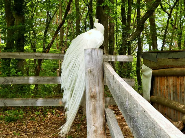 Foto: © Silvia Plischek