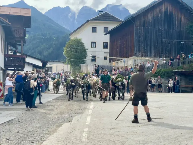 Daniel Leitgeb sorgte beim Eintreffen des Almviehs durch gekonntes „Goaßlschnalzen“ für Aufmerksamkeit und Platz.  | Foto: Mair