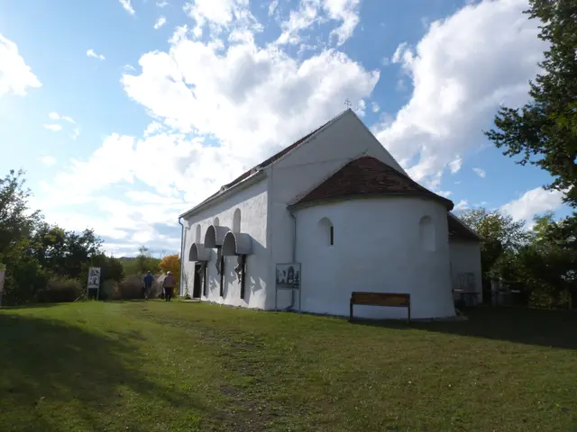 Foto: Vanessa Wittmann