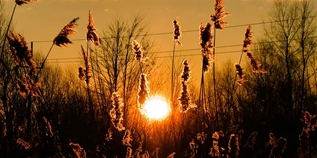 Am Montag zeigt sich im Burgenland die Sonne. | Foto: Hermann Sauer