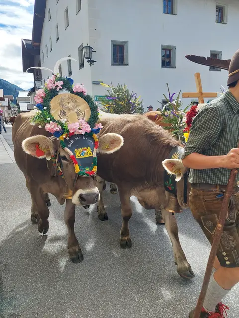 Foto: Regina Langreiter