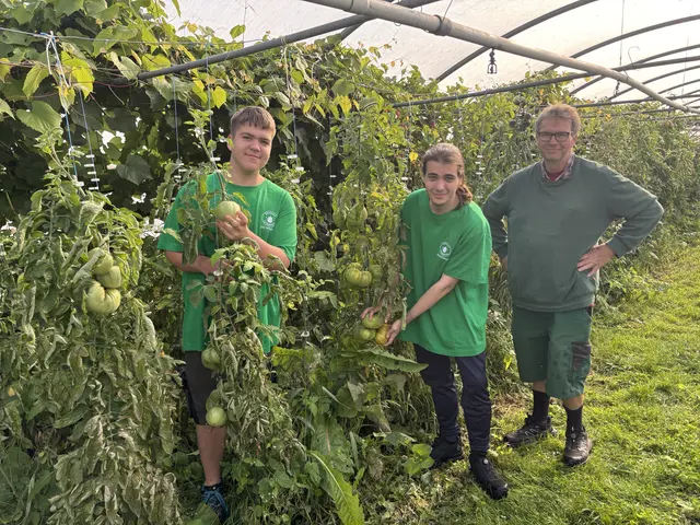 Alles an angebautem Obst und Gemüse können Kunden kaufen und wird in der Küche des HollaKochs verarbeitet. | Foto: Alexandra Goll