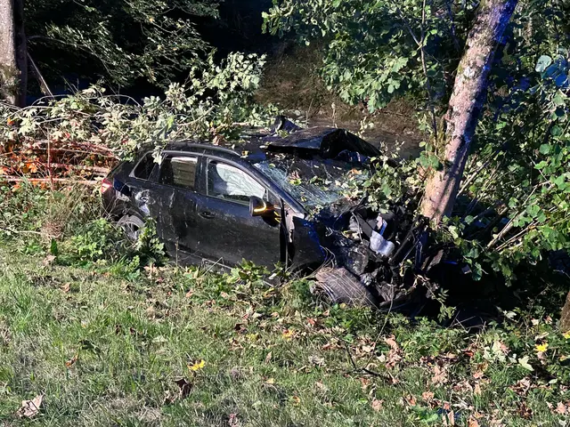 Dem Lenker wurde der Führerschein abgenommen. | Foto: ZOOM.Tirol