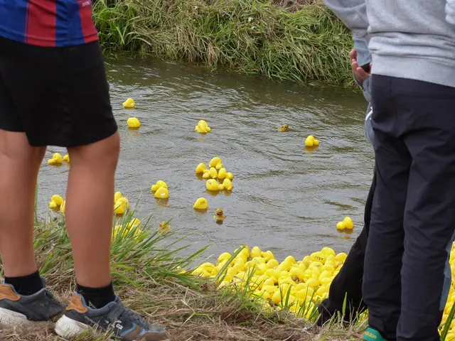 Foto: Vanessa Wittmann