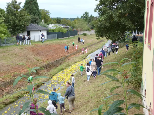 Foto: Vanessa Wittmann