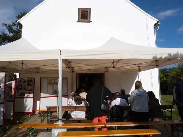 Foto: Vanessa Wittmann