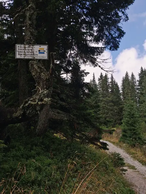 Zur Gloggnitzhütte geht's hier rechts entlang