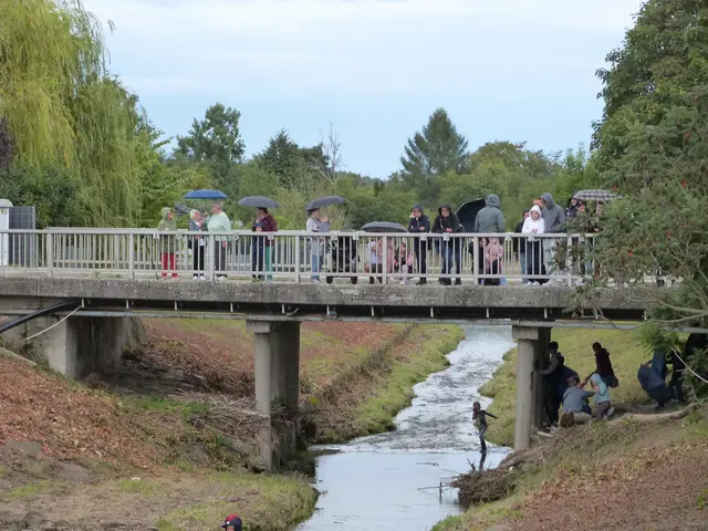 Foto: Vanessa Wittmann