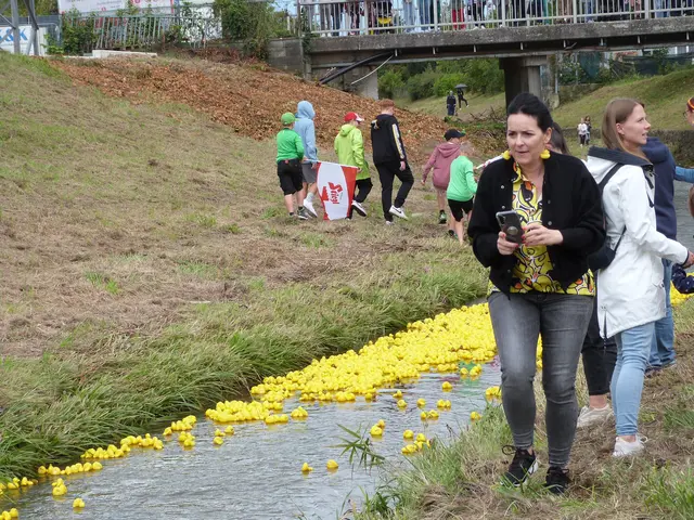 Foto: Vanessa Wittmann