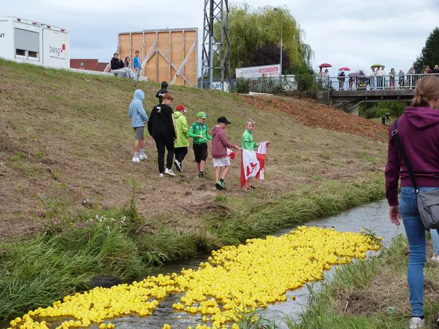 Foto: Vanessa Wittmann