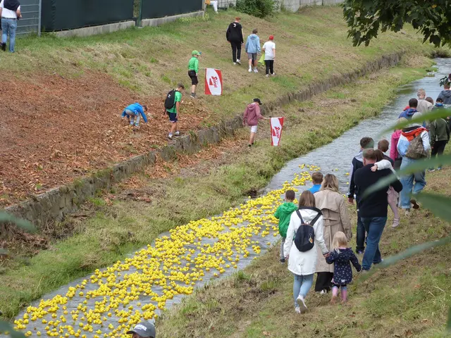 Foto: Vanessa Wittmann