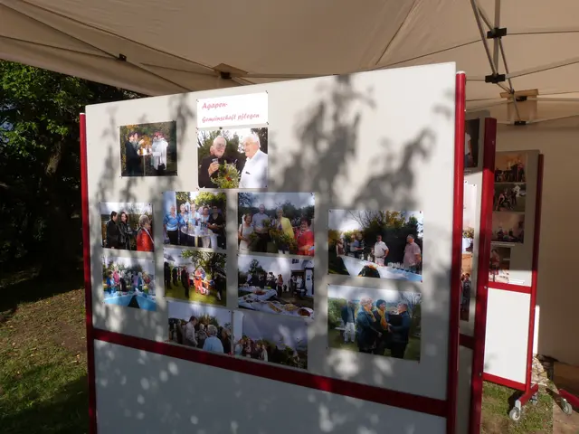 Foto: Vanessa Wittmann