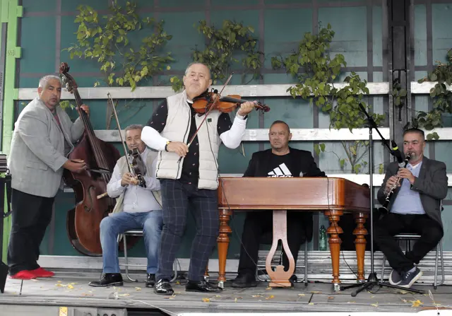 Die ungarische Band begeisterte mit ihre Musik das Publikum. | Foto: Walter Kellner