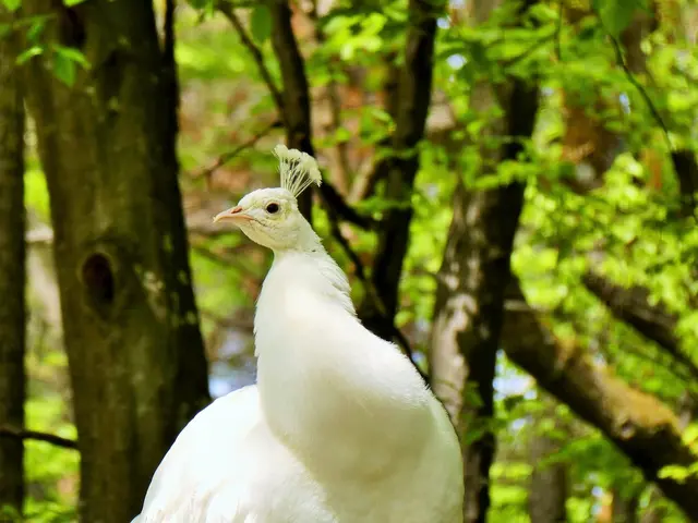 Foto: © Silvia Plischek