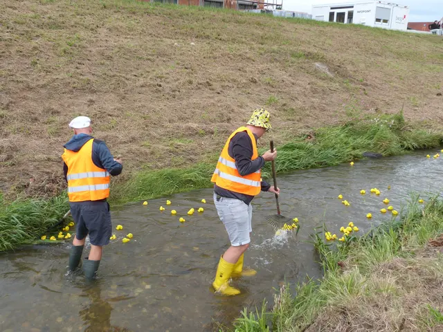 Foto: Vanessa Wittmann