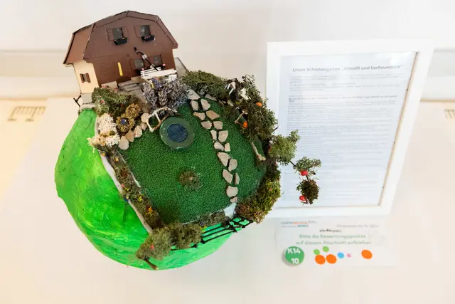 Foto: Stefan Zamisch