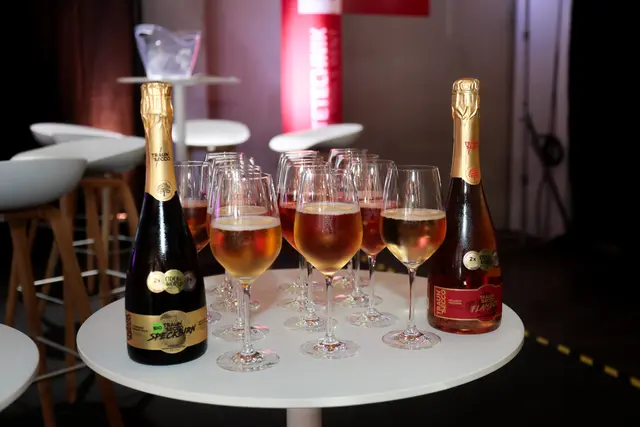 Foto: eventfoto.at / Foto Andreas Maringer