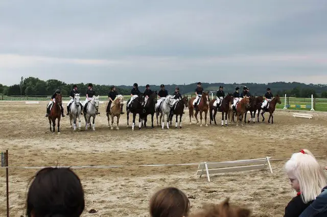 Der Erste Burgenländische Reitverein Stegersbach feiert am 20. und 21. September sein 60-jähriges Bestehen. | Foto: Reitverein Stegersbach