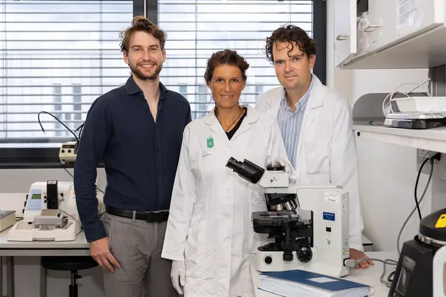 Forschungsteam (v .l. n. r.).: Emilian Jungwirth, Katrin Panzitt und Martin Wagner | Foto: Med Uni Graz/Wittmann