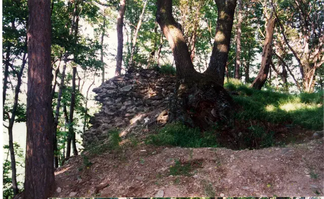 Einige Ruinen der ehemaligen Burganlage ist im Wald über dem Badesee noch ersichtlich. | Foto: Gemeinde Rechnitz