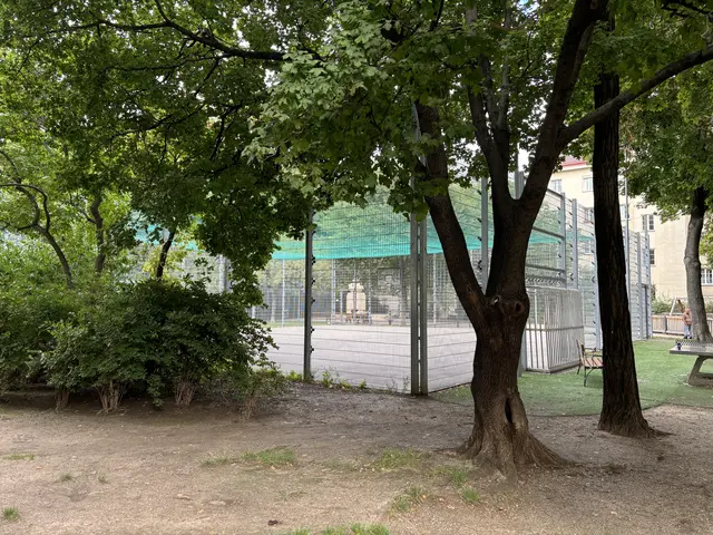 Foto: Nathanael Peterlini/MeinBezirk